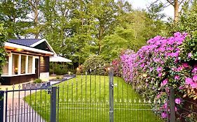 Bungalow Bavelds Garden Lodge - Denekamp